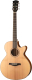 Электроакустическая гитара Parkwood S27-GT (с чехлом) - 