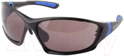 Изображение товара Защитные очки РОСОМЗ Arctic North 5-3/1 PC / 18629