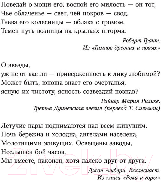Художественная книга АСТ Темные начала. Книга 3. Янтарный телескоп (Пулман Ф.) — фото 4