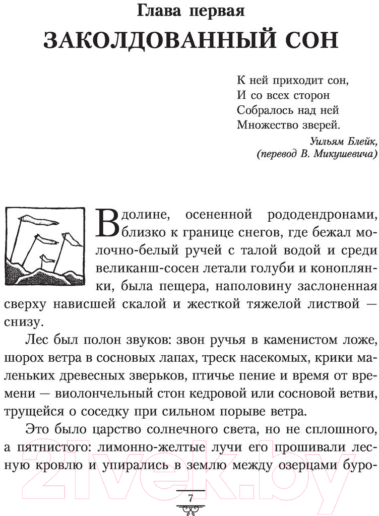 Художественная книга АСТ Темные начала. Книга 3. Янтарный телескоп (Пулман Ф.) — фото 5