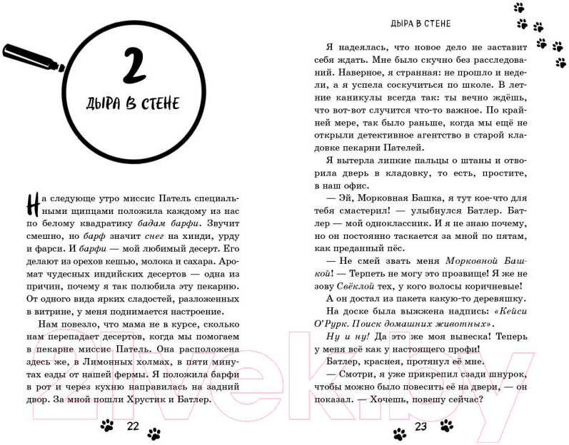 Художественная книга Эксмо Секрет старинного дневника. Выпуск 2 (Оливер К.) — фото 2