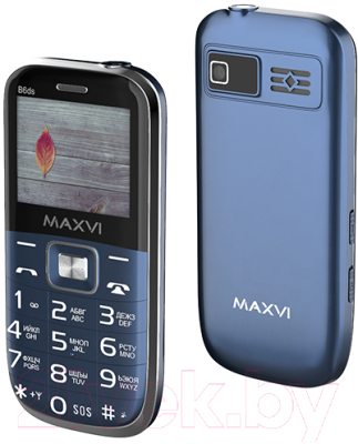 Изображение товара Мобильный телефон Maxvi B6ds (маренго)