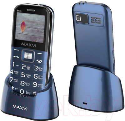 Изображение товара Мобильный телефон Maxvi B6ds (маренго)