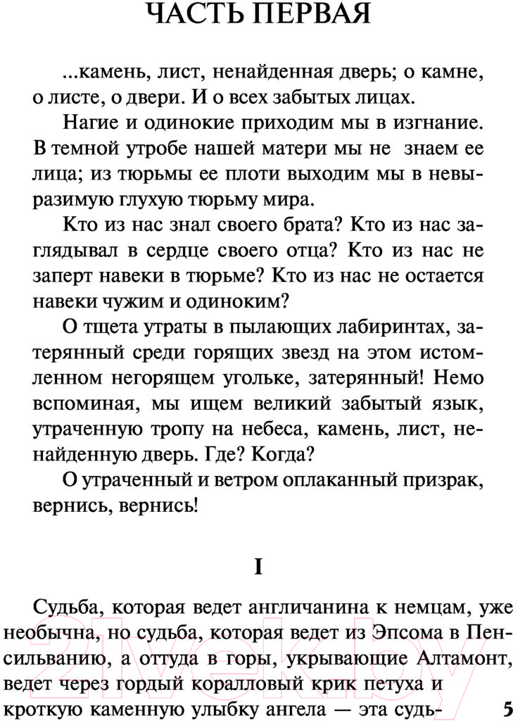 Художественная книга АСТ Взгляни на дом свой, ангел (Вулф Т.) — фото 6