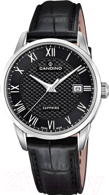 Часы наручные мужские Candino C4712/D