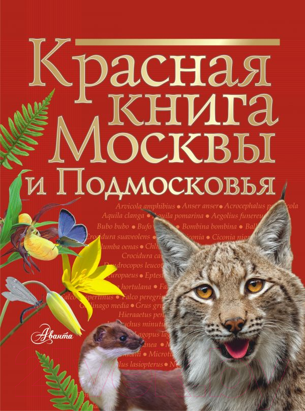 Нехудожественная книга АСТ Красная книга Москвы и Подмосковья (Молюков М.И.)
