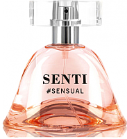 Парфюмерная вода Dilis Parfum Senti Sensual (50мл) - 