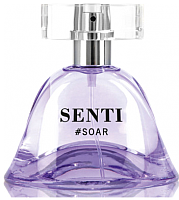 Парфюмерная вода Dilis Parfum Senti Soar (50мл) - 