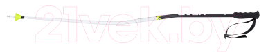 

Горнолыжные палки Head, Worldcup SG Bent / 381058