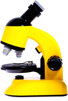 Микроскоп оптический Sima-Land Юный ученый / 7016014 (желтый)