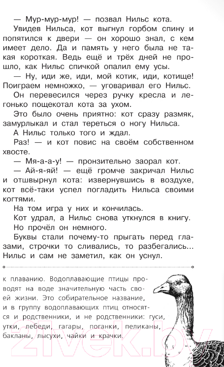 Художественная книга АСТ Чудесное путешествие Нильса с дикими гусями / 9785171497750 (Лагерлеф С.) — фото 6