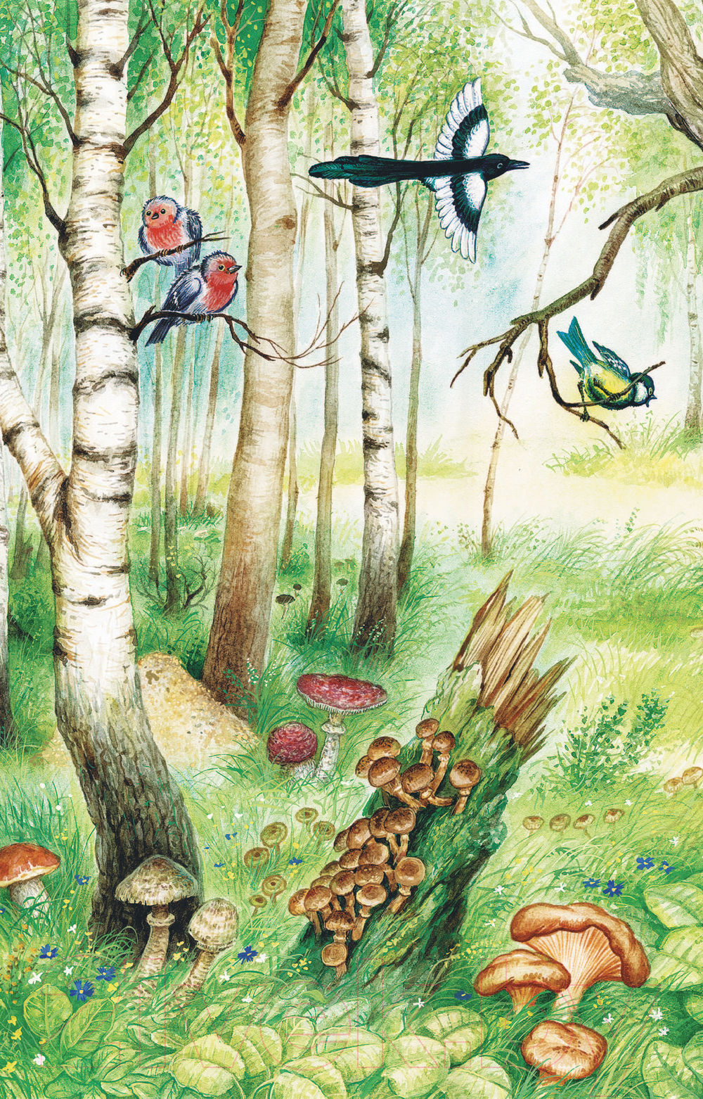 Художественная книга АСТ Четыре желания. Рассказы и сказки (Ушинский К.Д.) — фото 4
