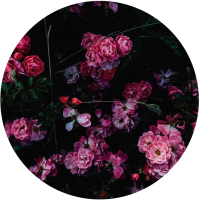 Картина на стекле Stamprint Кустовая роза AR010 круг (70x70) - 