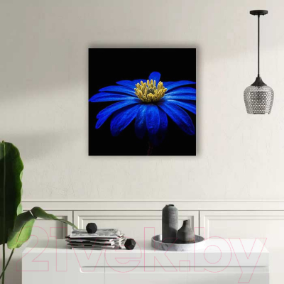 Картина на стекле Stamprint Синяя ромашка AR018 (50x50)