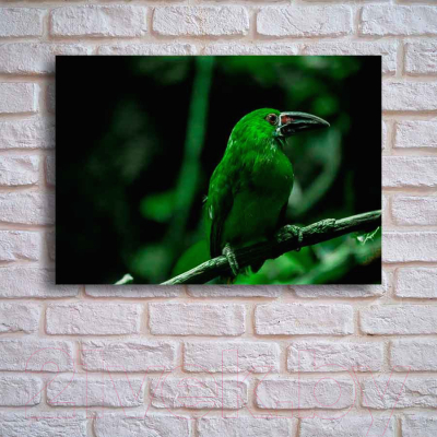Картина на стекле Stamprint Тропическая птица AN009 (70x100)