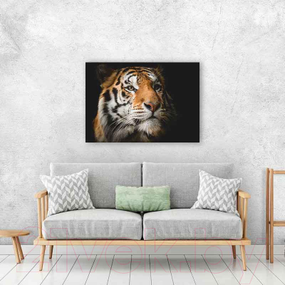 Картина на стекле Stamprint Солнечный тигр AN010 (70x100)