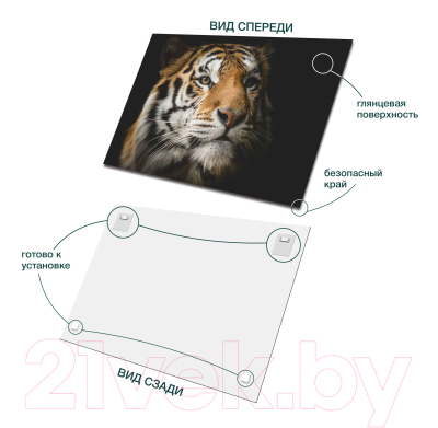 Картина на стекле Stamprint Солнечный тигр AN010 (70x100)