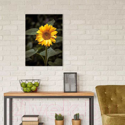 Картина на стекле Stamprint Цветок солнца AR016 (70x50)