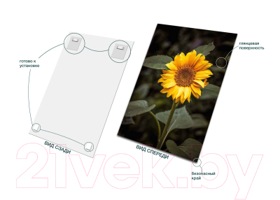 Картина на стекле Stamprint Цветок солнца AR016 (70x50)