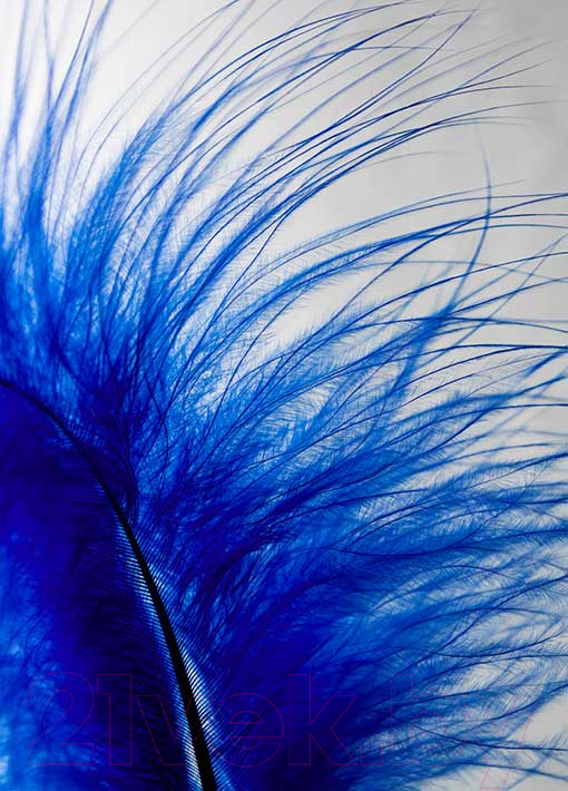 Картина на стекле Stamprint Синее перо AR024