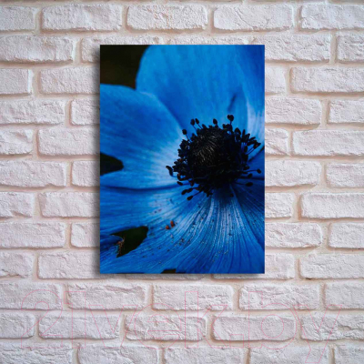 Картина на стекле Stamprint Синий мак AR025 (70x50)