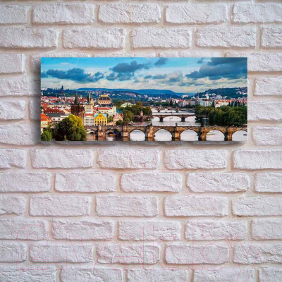 Картина на стекле Stamprint Пражские мосты ST024 (50x125)