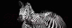 Картина на стекле Stamprint Две зебры AN013 (50x125) - 