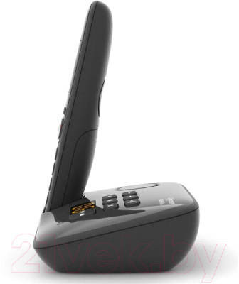 Беспроводной телефон Gigaset AS690A Rus (черный)
