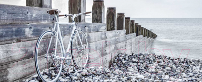 Картина на стекле Stamprint Велосипед у воды SD019 (50x125)