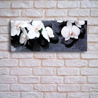 Картина на стекле Stamprint Белая орхидея 2 SP005 (50x125)