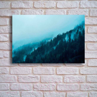 Картина на стекле Stamprint Туманный лес NT003 (80x120)