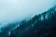 Картина на стекле Stamprint Туманный лес NT003 (80x120) - 