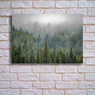 Картина на стекле Stamprint Лесные заросли NT008 (70x100)