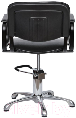 Кресло парикмахерское Фабрикант Изо Gts (черный)