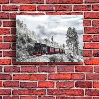 Картина на стекле Stamprint Зимний путь NT022 (70x100)