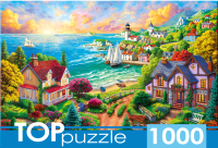 

Пазл Top Puzzle, Деревня у моря / ФТП1000-9849