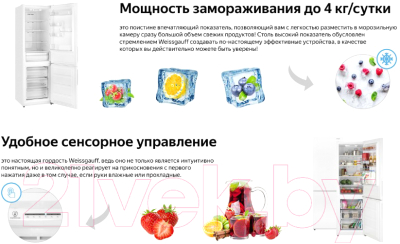 Изображение товара Холодильник с морозильником Weissgauff WRK 190 W Full NoFrost