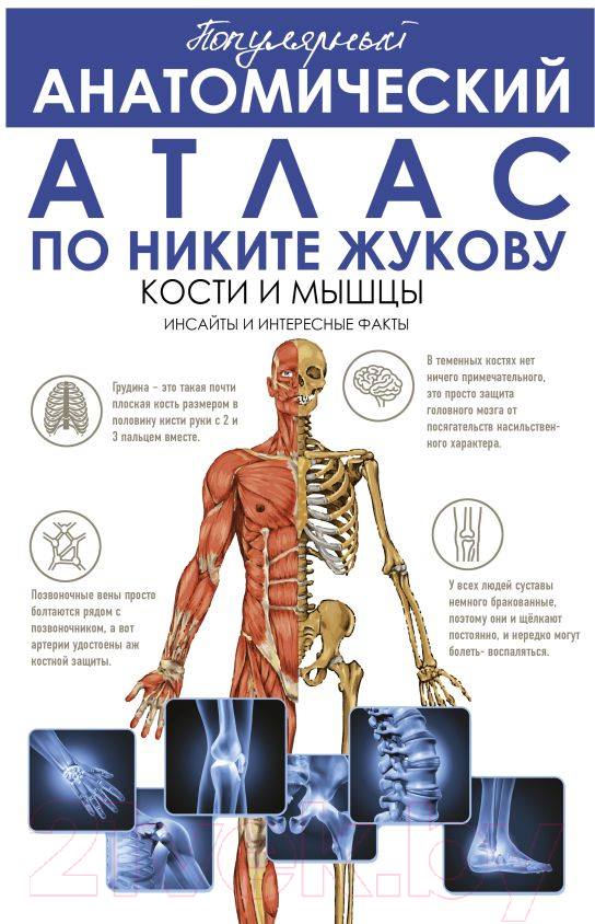 Нехудожественная книга АСТ Популярный анатомический атлас по Никите Жукову (Жуков Н.Э.)