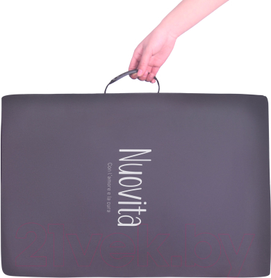 Изображение товара Детская прогулочная коляска Nuovita Fiato (бежевый/черный)