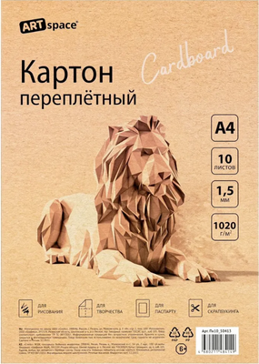 Набор переплетного картона ArtSpace Пк10_50413 (10л) - 