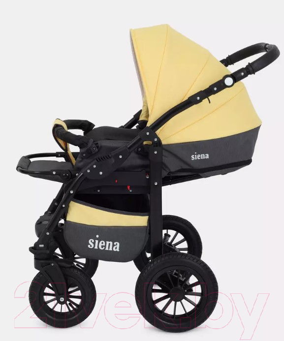 Детская универсальная коляска Rant Siena 2 в 1