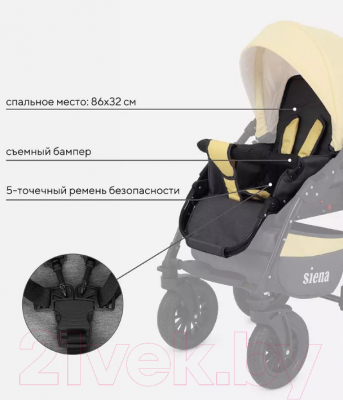 Детская универсальная коляска Rant Siena 3 в 1 (10, серый/желтый)
