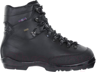 Ботинки для беговых лыж Alpina Sports BC 1600 / 51831 (р-р 45, черный/серебристый)