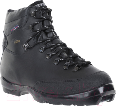 Ботинки для беговых лыж Alpina Sports BC 1600 / 51831 (р-р 45, черный/серебристый)
