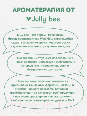 Воск для аромалампы Jully Bee Тайная энергия (70г)