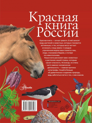 Книга АСТ Красная книга России (Пескова И.М., и др)