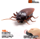 Миниатюра изображения товара Радиоуправляемая игрушка Sima-Land Таракан / 2334864