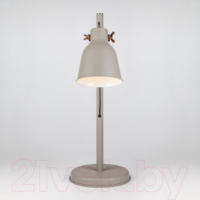 Прикроватная лампа Евросвет Projector 01031/1 (серый)