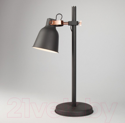 

Прикроватная лампа Евросвет, Projector 01031/1