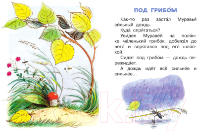 Книга АСТ Сказки в картинках / 9785170976942 (Сутеев В.Г.)